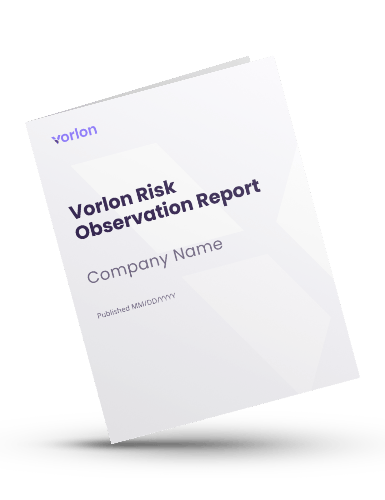 Vorlon Risk Observation Report Example Thumbnail