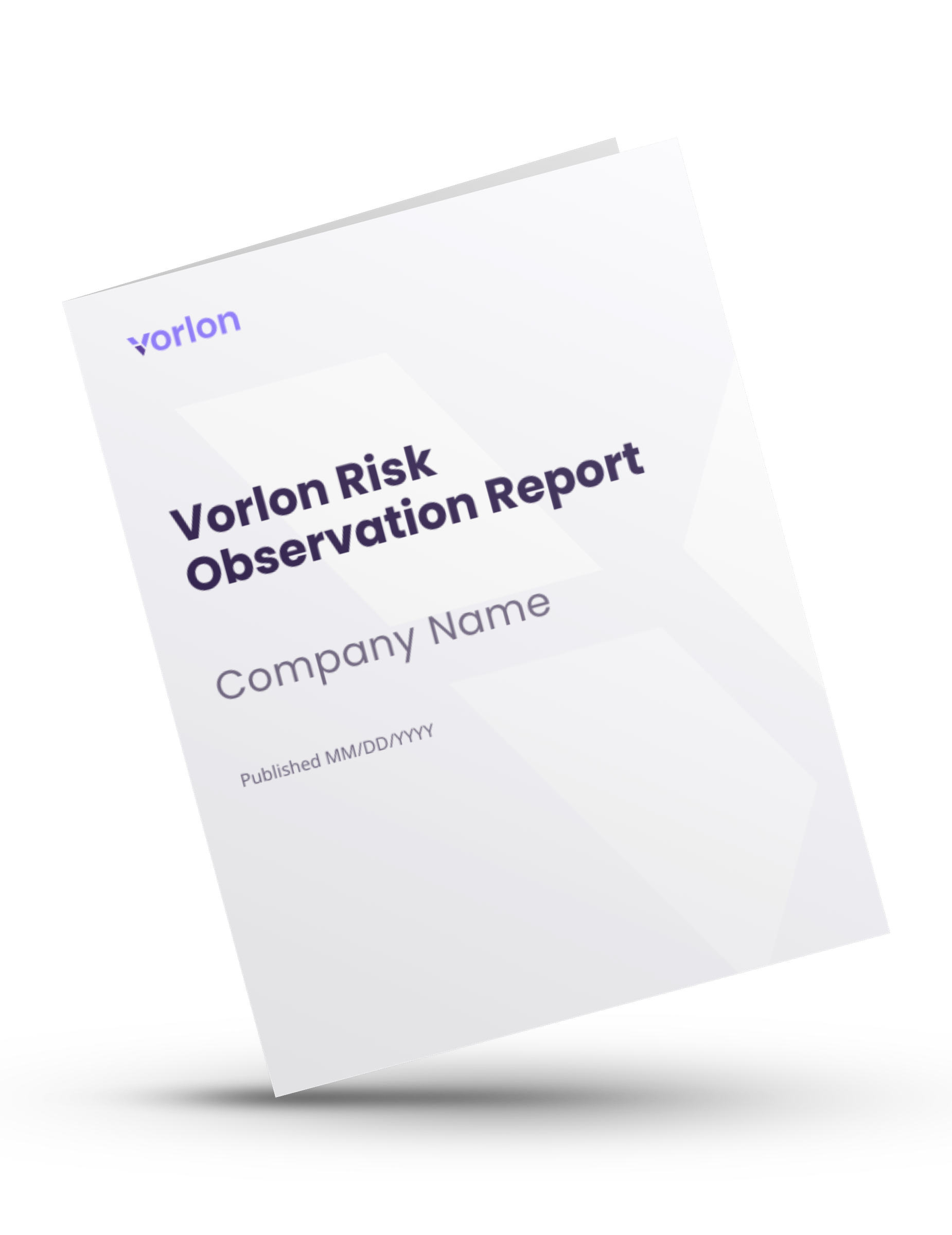 Vorlon Risk Observation Report Example Thumbnail